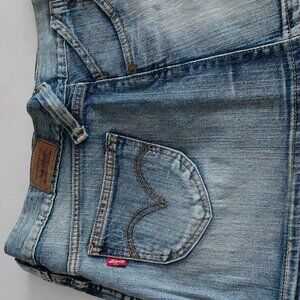 Levis skirt